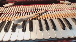 HARMONIUM REPAIR, BASS, MALE, FEMALE, 9 SCALE-CHANGER, COUPLER, PALITANA REEDS, 7 FOLD BELLOWS