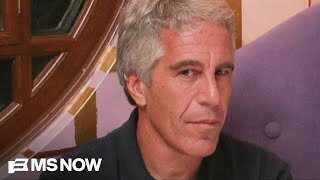 Epstein survivor: I kept my identity protected and woke up with my name mentioned 500+ times