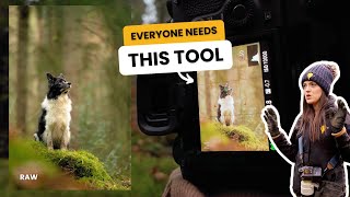 Get your GRID on | Improve your Dog Photography in Camera today