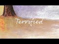 Terrified Vincent Lima 