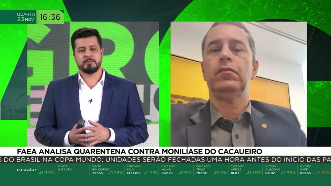 FAEA analisa quarentena contra monilíase do cacaueiro