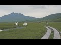 【尾瀬】鳩待峠から尾瀬小屋までを散策してきました。