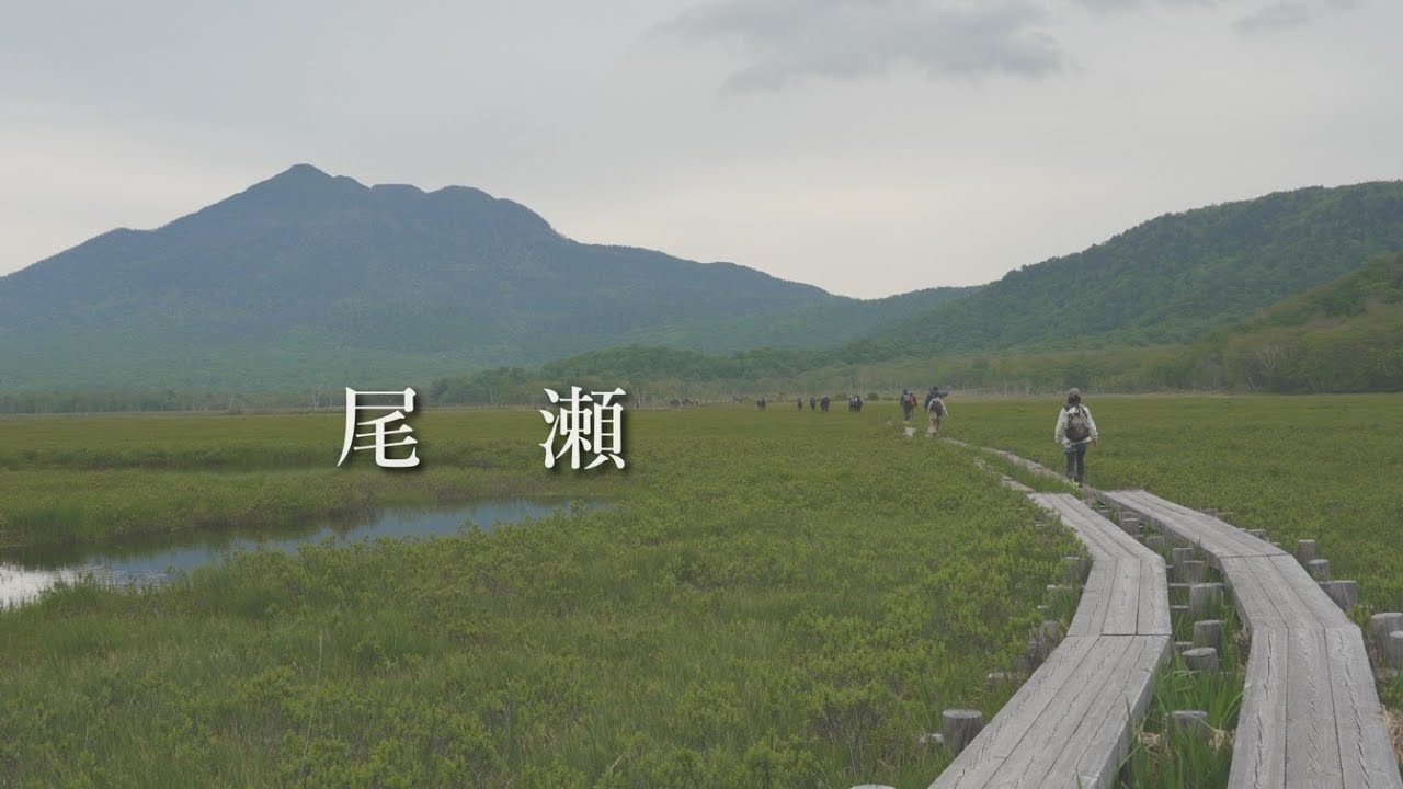 【尾瀬】鳩待峠から尾瀬小屋までを散策してきました。