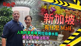 新加坡有什麼Mall｜人狗共享商場｜阿拉伯香水街｜馬來自然療法街市｜醫治奇難雜症的植物