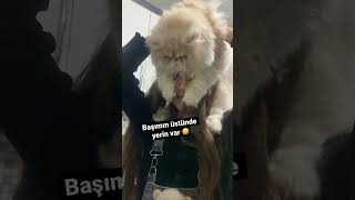 Suratsız Şey Başımın Üstünde Yerin Var