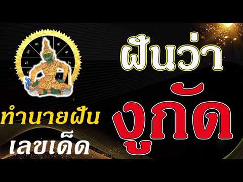 ฝันว่างูกัด ทํานายฝัน เลข อะไร ตีหวย