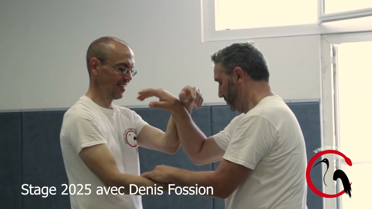 Stage Wing Chun avec Denis Fossion 2025