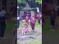 ana maning #korupsi #kpk #indonesia #shorts
