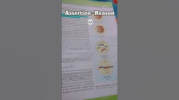the Assertion-Reason Trick ⭐ #neet2025 | Games NTA Plays Pt 16
