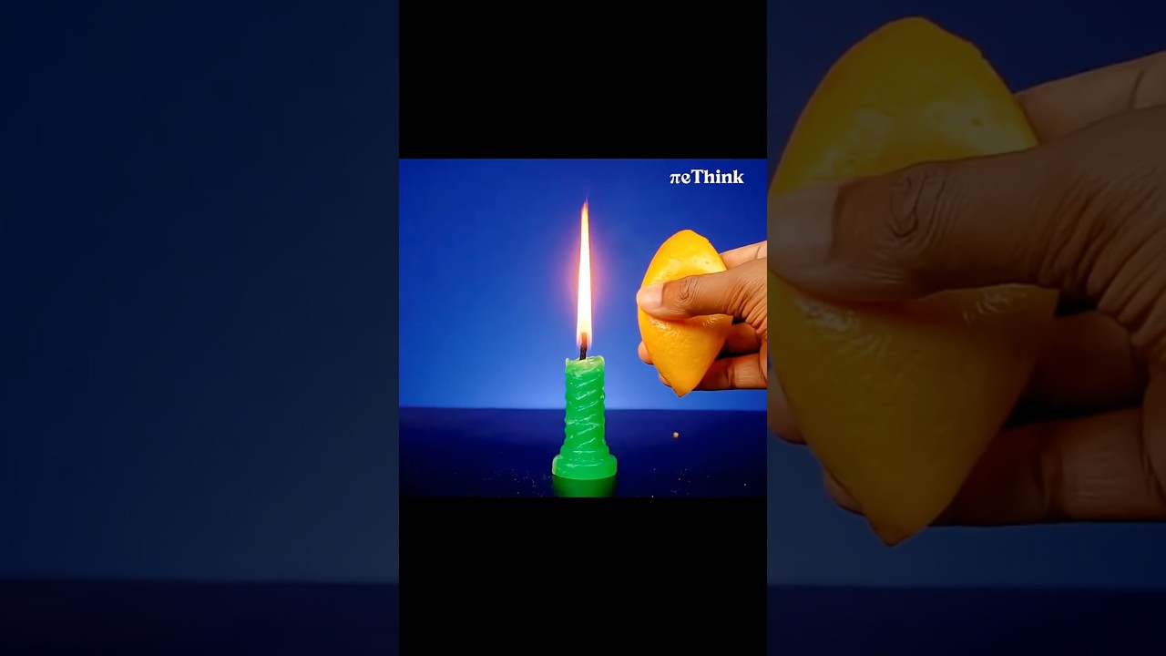 লেবুর খোসা যেভাবে প্লাস্টিক গলিয়ে ফেলে!😲 Cool Science Experiment || reThink