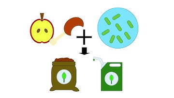 The Bioeconomy – a career opportunity in science and business.