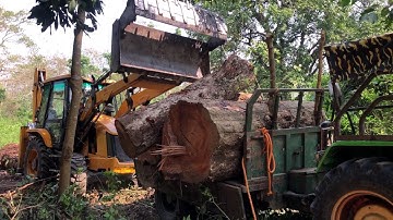 JCB Backhoe Loader Loading Wood In The Forest Area @droneplanet2040