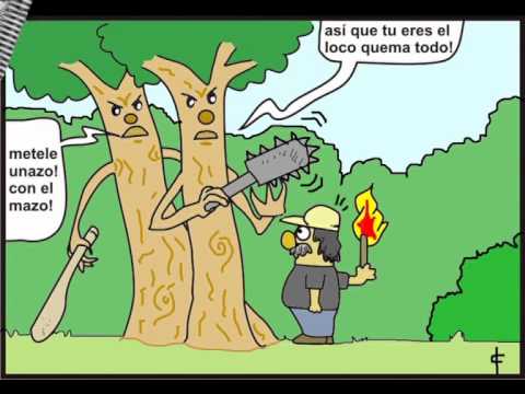 NO A LA TALA INDISCRIMINADA DE LOS BOSQUES - YouTube