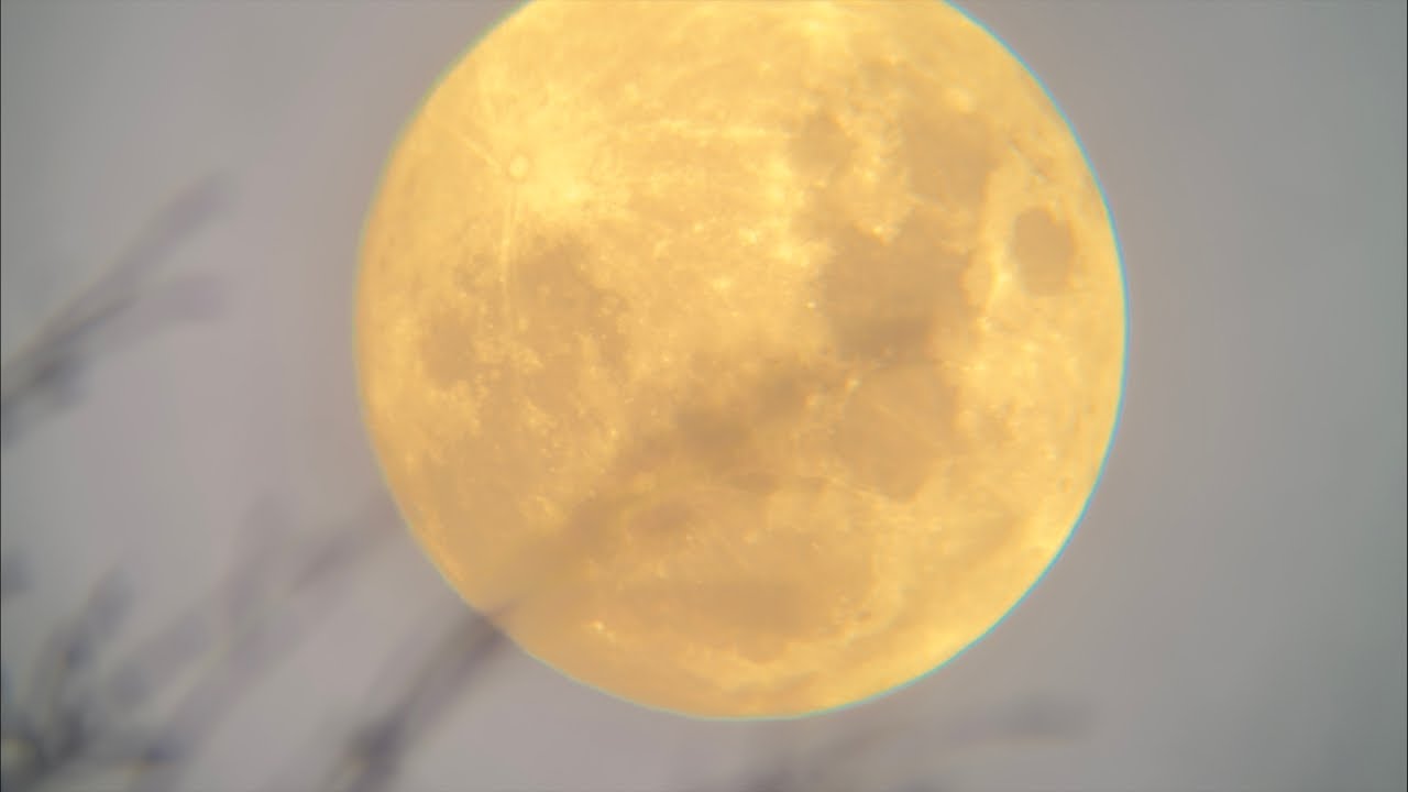 Луна в телескопе