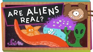 Are Aliens Real?