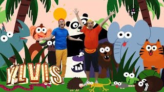 Ylvis - Everybody Farts | Animals Kids Song | discovery+ Norge - What Does the Fox Say?