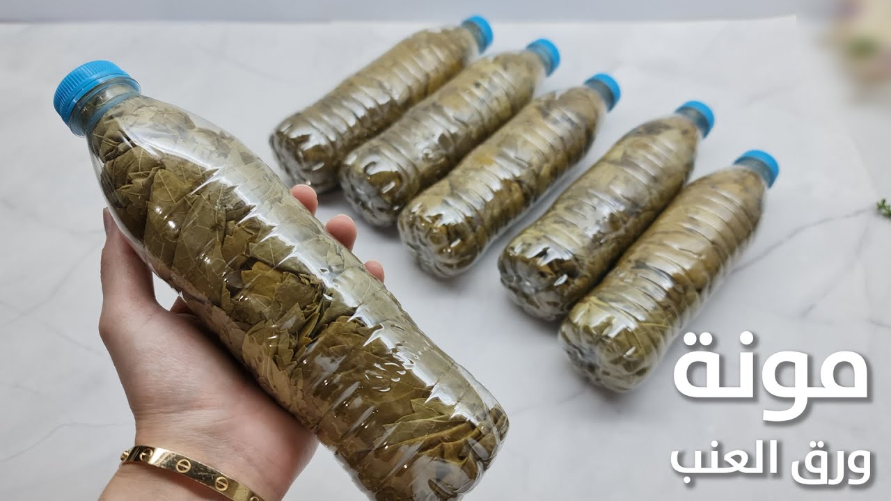 حفظ ورق العنب بدون فريزر وبدون ماء لمدة سنة كاملة