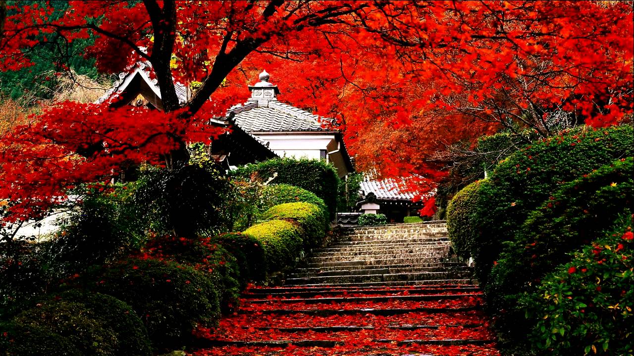 Watch Konsta - Autumn on YouTube Watch Konsta - Autumn on YouTube