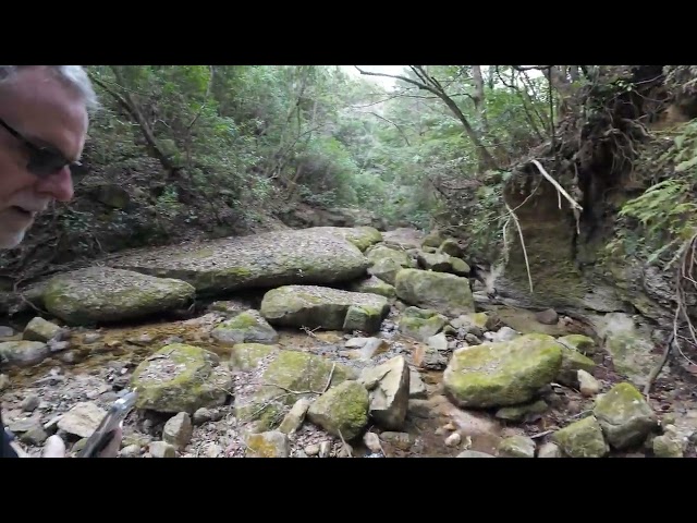 Miyajima River Walk 1