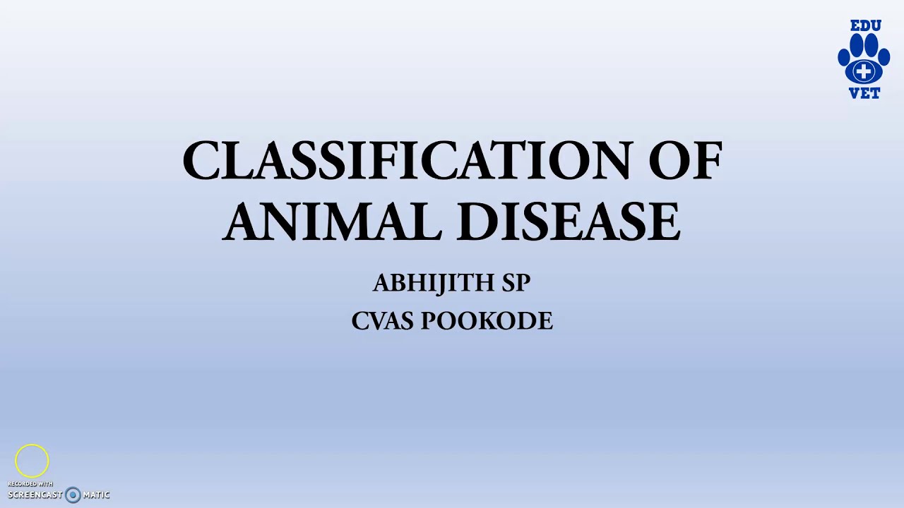 Understanding Common Pet Illnesses