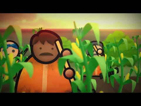 Anteprima video
