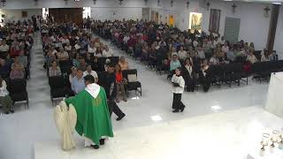 El Trigo y la Cizaña: La Lucha Interna y la Misericordia de Dios