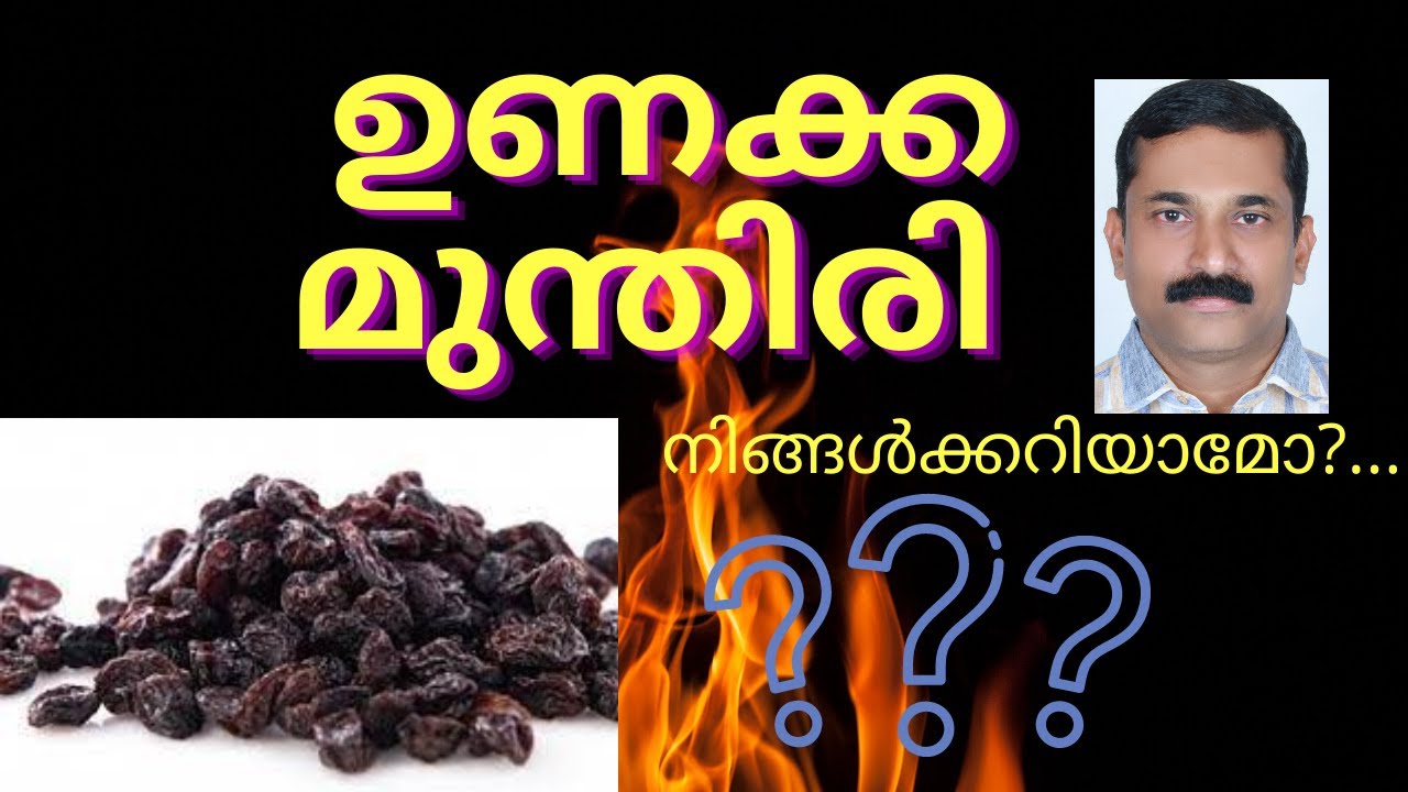 ഉണക്കമുന്തിരി | ഗുണങ്ങൾ എന്തെല്ലാം? How to Use Raisins? Benefits of Raisins? Ayurvedic Medicine