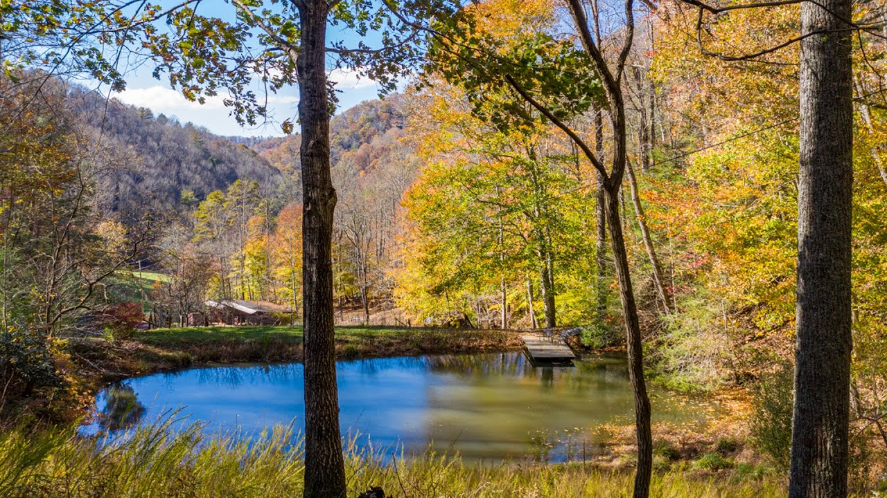 1472 Brummetts Creek Green Mountain NC 28740 2020 update