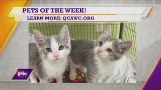 Pet of the Week | Bluey & Bingo