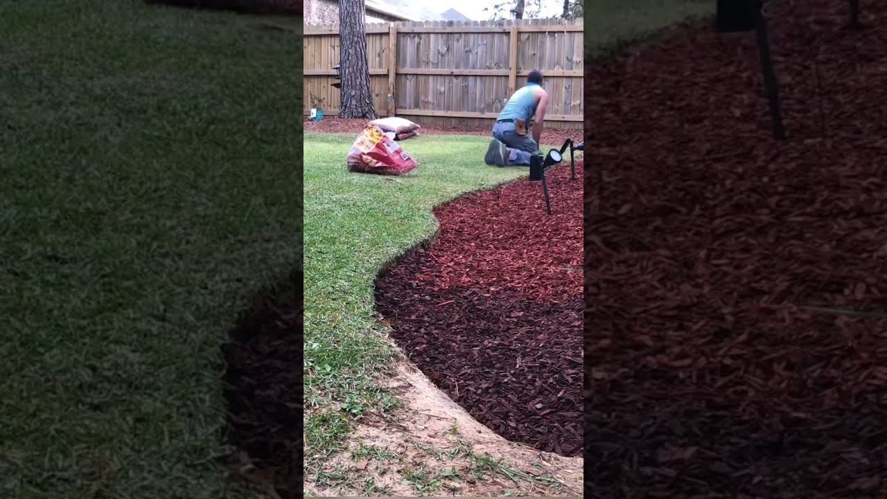 Installing RED MULCH And Complete Yard CLEANUP Lawncare Lawncarelife Shorts Landscaping Howto