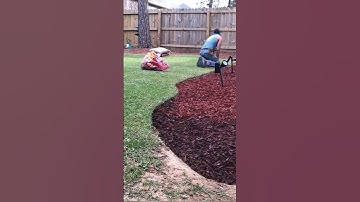 Installing RED MULCH And Complete Yard CLEANUP #lawncare #lawncarelife #shorts #landscaping #howto