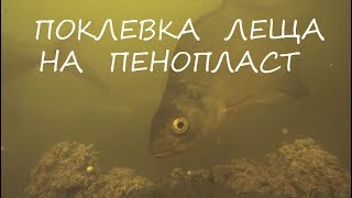 СУПЕР БЮДЖЕТНАЯ ПРИКОРМКА НА ЛЕЩА 1КГ = 0,4$, ПОДВОДНАЯ СЪЕМКА