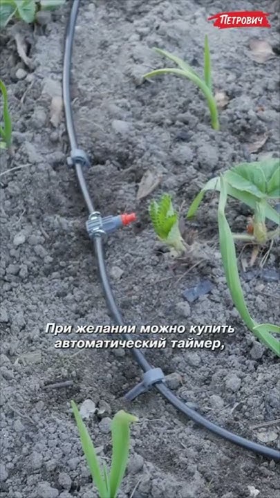 Систему капельного полива Gardena можно установить на готовые грядки и ...