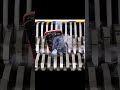 bunnies are going insane, Newjeans need to cb