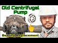 Centrifugal Pump Bearing Replacement | Centrifugal Pump Maintenance