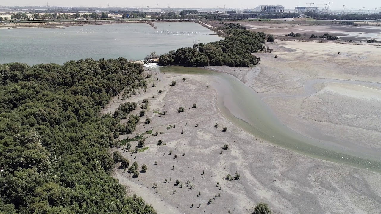 Flythrough of the Beautiful Ras Al Khor