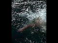 I can't swim #viralvideo #wednesdayaddams #wednesday