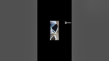 Designing repeatable world class success recipes by Erokhane via NotebookLM 2