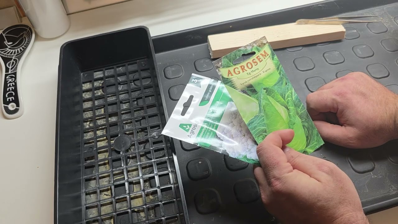 Vetés - február 20 - paprika, korai káposztafélék