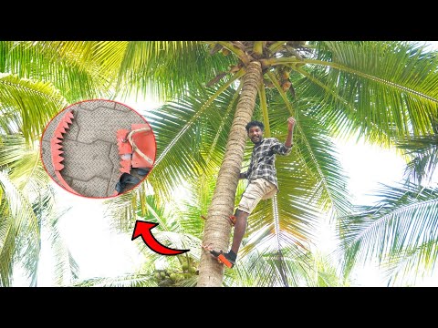 I Built a Coconut Tree Climbing Tool! 💯 தென்னை மரம் ஏறும் சூப்பர் Tool..! Sathish