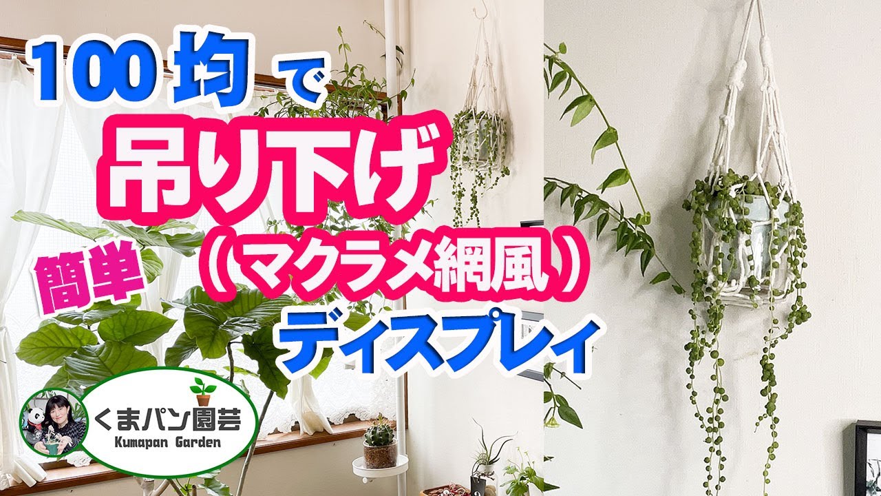 Display plants with 100 yen products【KUMAPAN BOTANICAL】 - YouTube