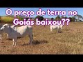 O preço de terra no Goiás baixou??