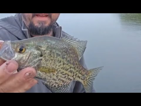 catching crappie!! - YouTube