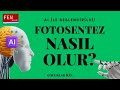 FOTOSENTEZ NEDİR?  Fotosentez şarkısı " Yapay Zeka Şarkı Söyletme"