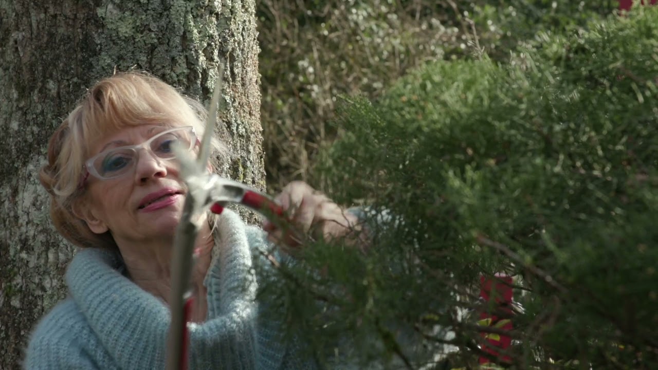 Centre Val de Loire : le Jardin. des Métamorphozes