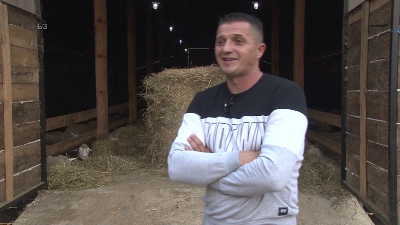 FARMA OVACA -  kako napraviti farmu za 200 grla - oprema - uredjenje - genetika