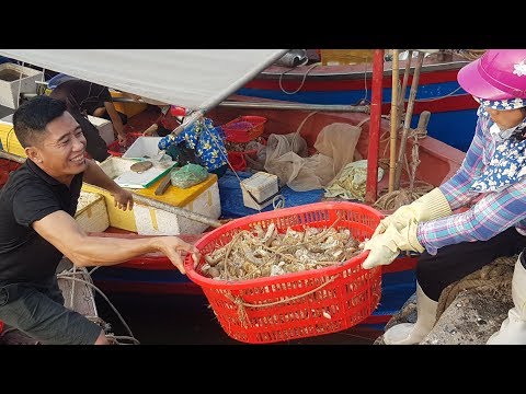 Nơi bán tôm tít ( bề bề )ngon và rẻ nhất miền bắc, muốn mua bao nhiêu cũng có