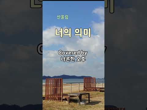 너의 의미 - 산울림 (커버곡)