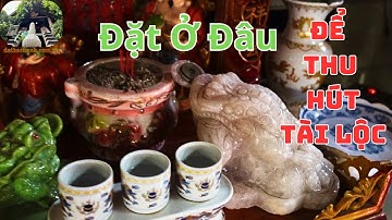 Cóc Thiềm Thừ Nên Đặt Ở Đâu Để Thu Hút Tài Lộc Hiệu Quả