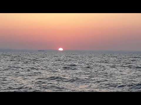 Video: Vid Gula Havet